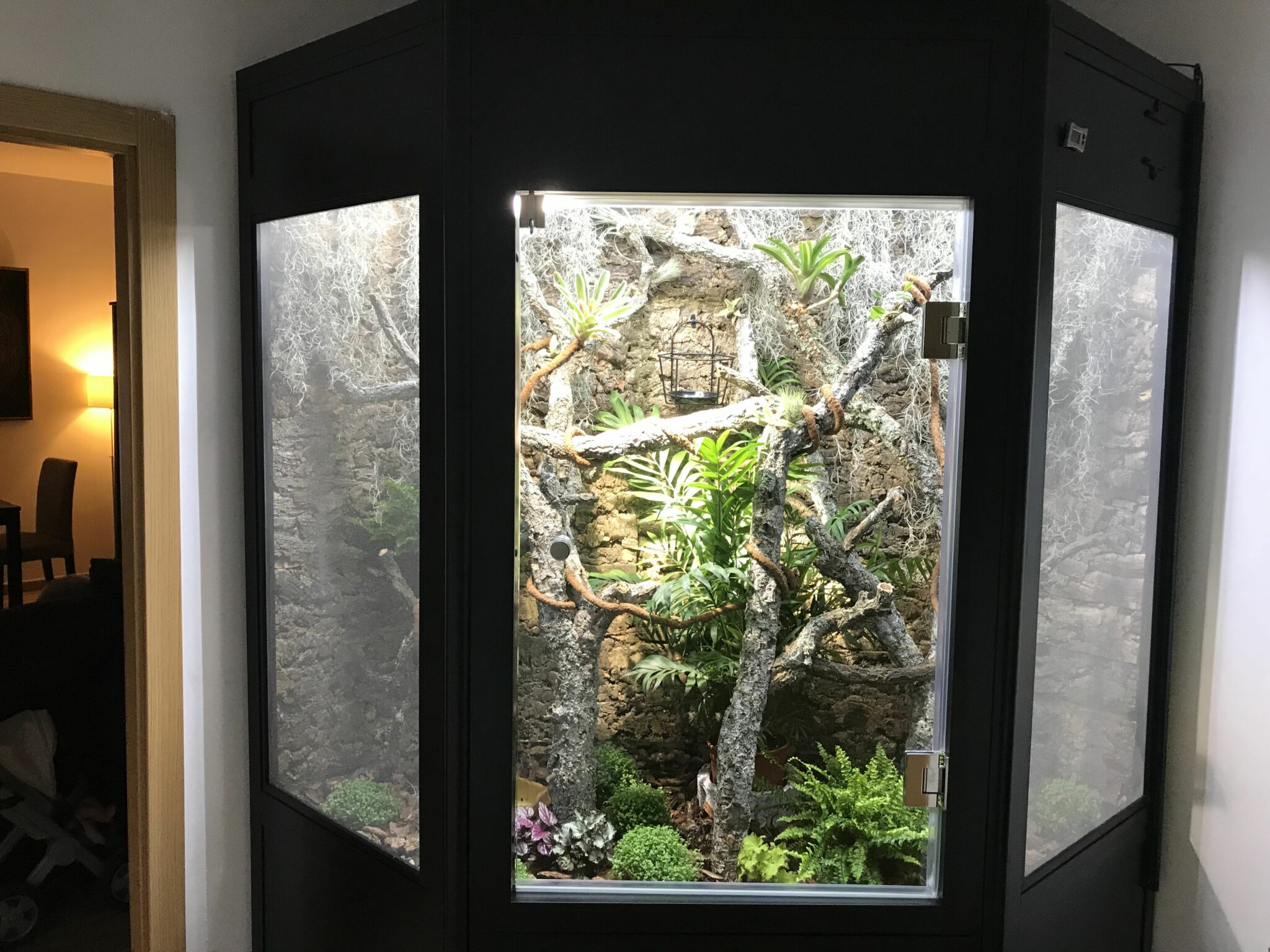 Terrario camaleon - TERRARIOS