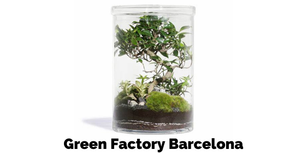 Green factory Barcelona
