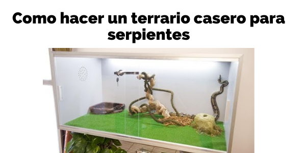 como hacer un terrario casero para serpientes