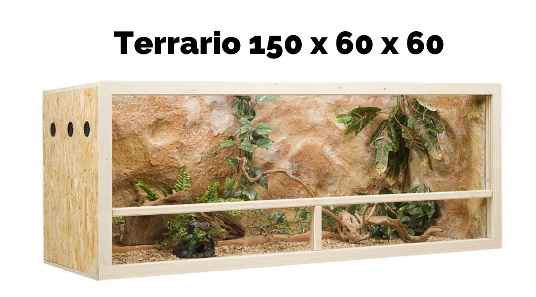 Terrario 150x60x60