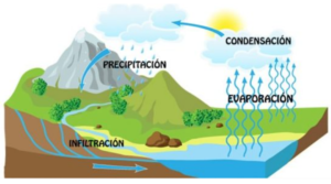 el ciclo del agua en la tierra